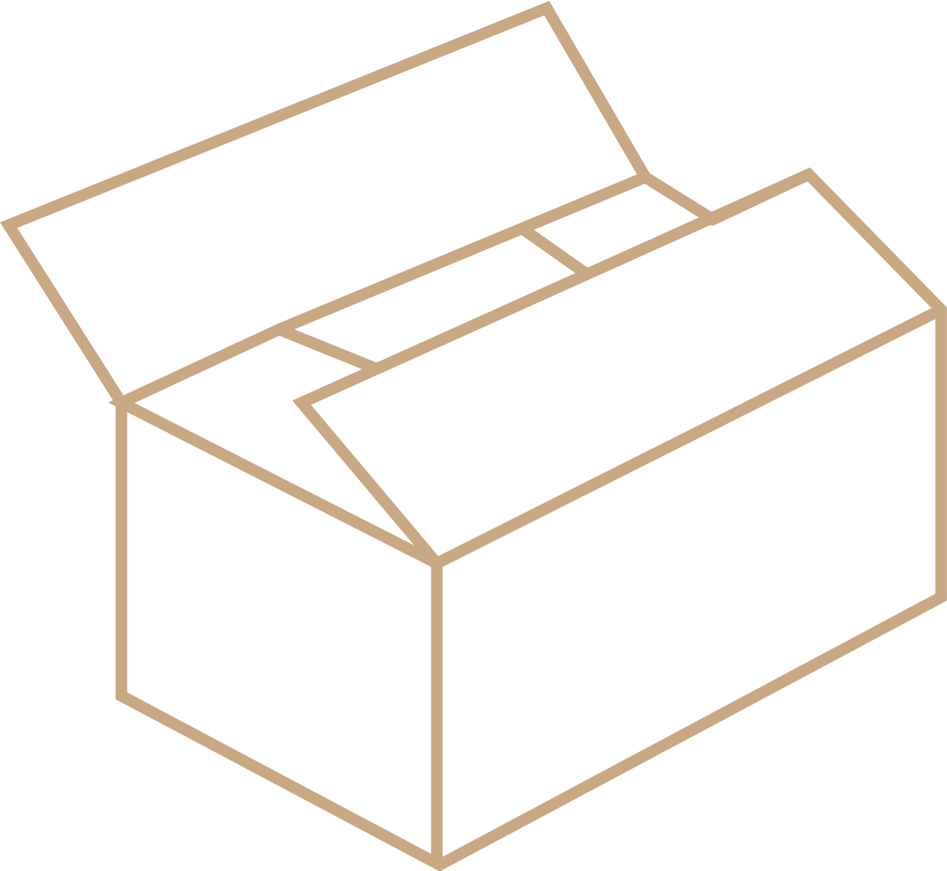 Regular slotted carton