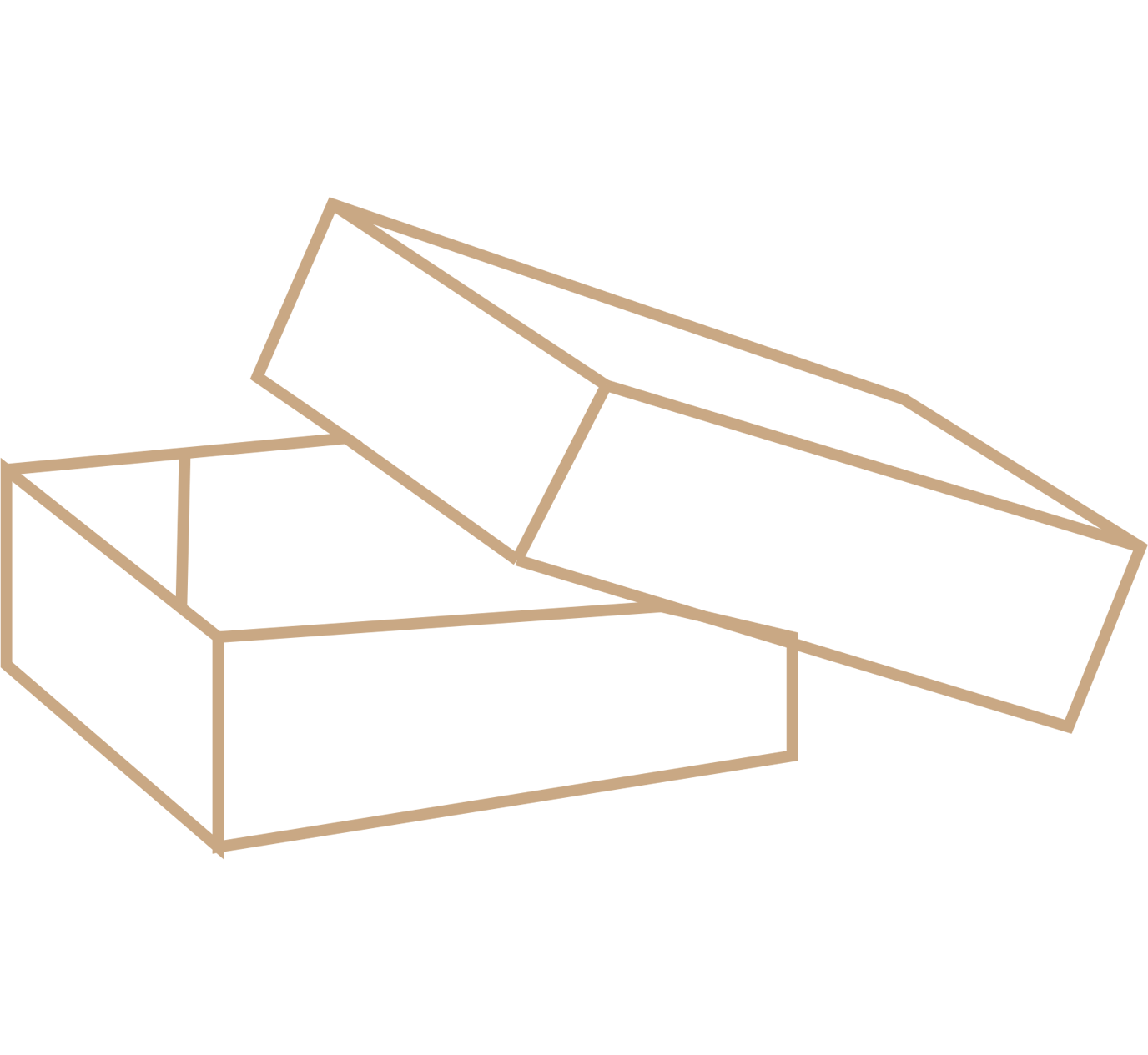 Top and bottom tray
